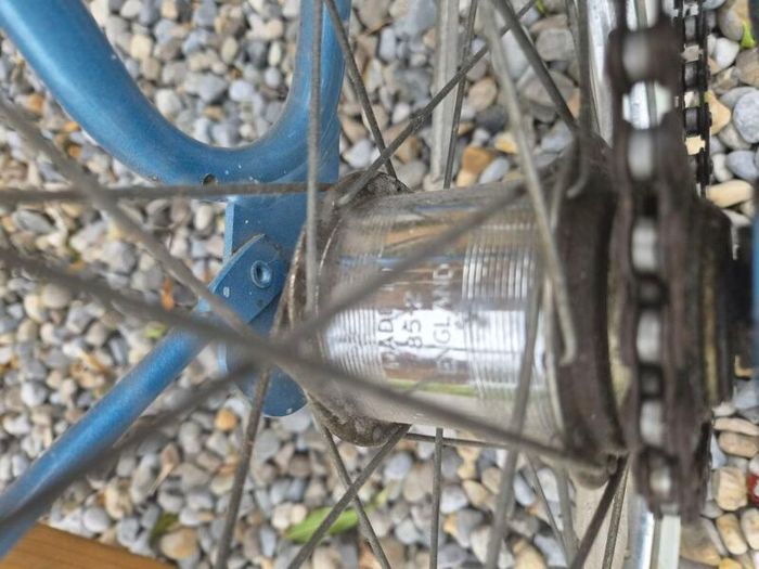 raleigh Saphire