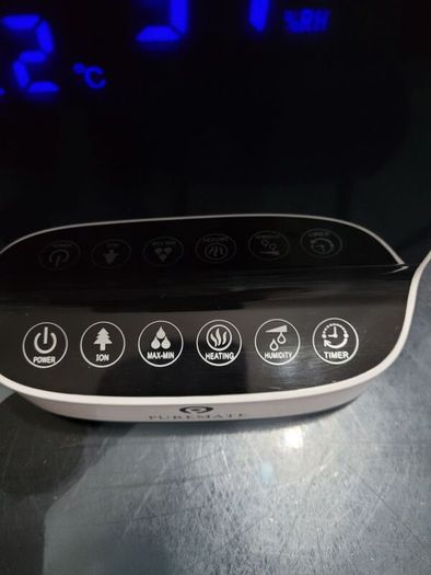 Humidifier with ioniser