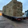 June Irish Hay&Haylage Image 3