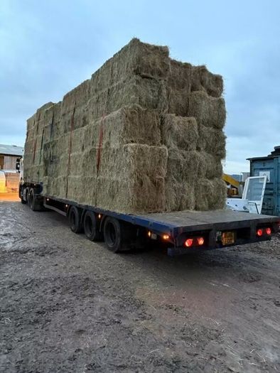 June Irish Hay&Haylage