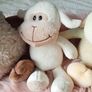 Collection of Sheep Soft Toys Image 6