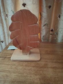 Ash wood tree