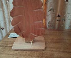 Ash wood tree