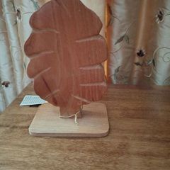 Ash wood tree