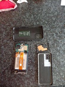 Dissaembled Samsung Phone