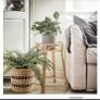 Ikea Handmade Rattan Plant Stand/ Pot With Monstera Plant Image 3