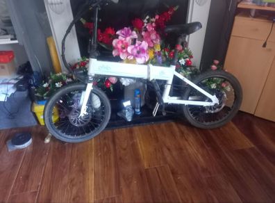 electric bike d4