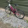 bike Image 3
