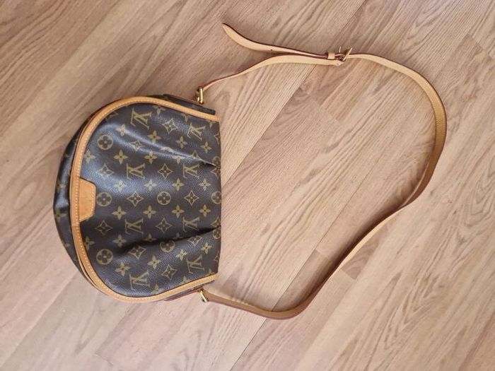 louis vuitton bag