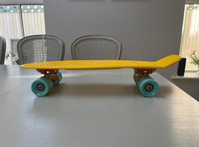 Penny skateboard