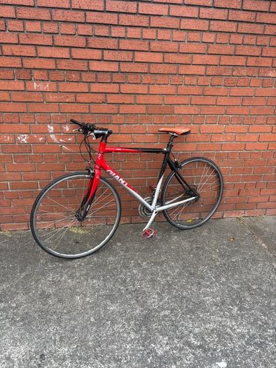 giant bike
