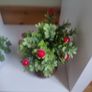 small cherry plant pot Image 4