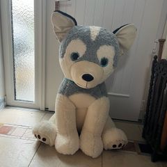 Giant husky teddy