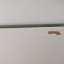 IKEA PAHL Adjustable Desk - Discontinued wider 129cm x 58cm Size Image 5