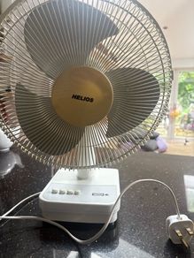 Fan