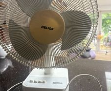 Fan