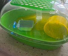 Hamster cage
