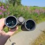Leica Ultravid 8 x 32 HD PLUS binoculars Image 2