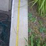 Limestone Paving Image 6