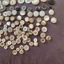 Antique Collection Mother of Pearl Buttons Image 5