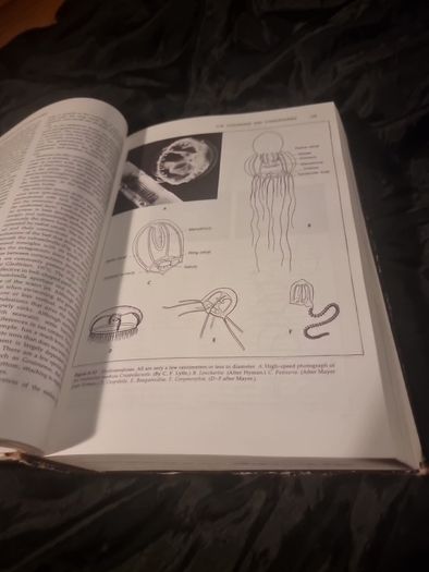 Invertibrate Zoology . 4th edition(Hardcover Illustrated Boards)