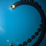 Mens Bracelet black and gold brand new Image 4