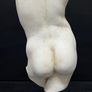 Sculpture  torso greco marble dust and scagliola Image 3