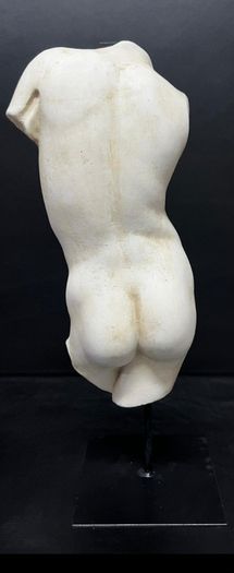 Sculpture  torso greco marble dust and scagliola