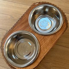 dog food & water bowls with a stand