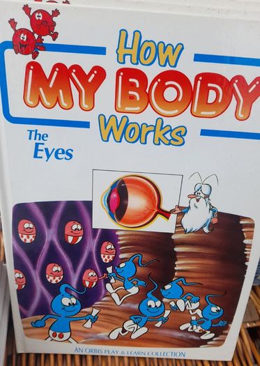 How My Body Works