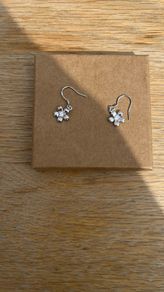 silver earrings