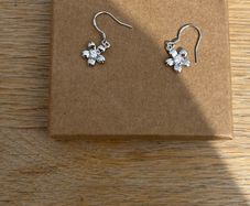 silver earrings