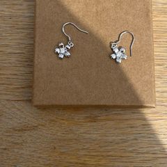 silver earrings