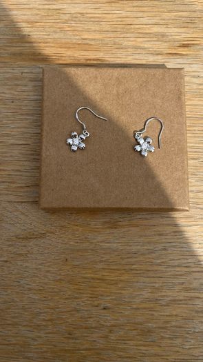 silver earrings
