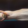 Rosa Clara from Aire Barcelona collection Image 3