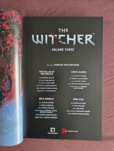 The Witcher Books