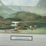 Framed prints Image 5