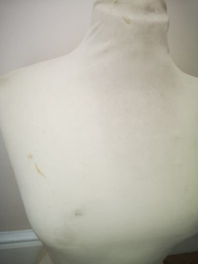 Dress Form / Mannequin Bust