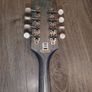 Ozark 2371BU Mandolin Image 6