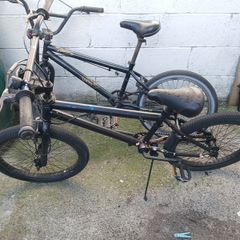 bmxs