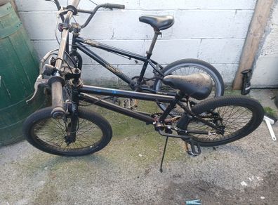bmxs