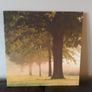 Selection of Canvas Paintings- FINAL OFFER AS I'M MOVING Image 2