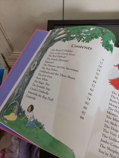 Bedtime childrens storybook