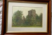Edward Tomkus (1936) Blarney Castle Co Cork