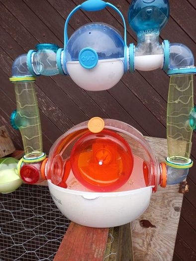 habitrail ovo cage with accessories