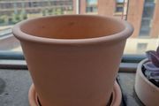 Terracotta Plant Pot