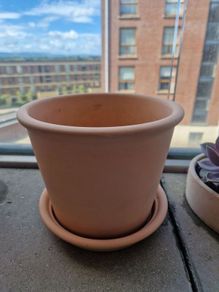 Terracotta Plant Pot