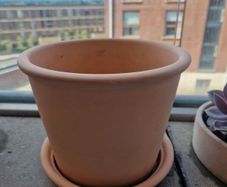 Terracotta Plant Pot