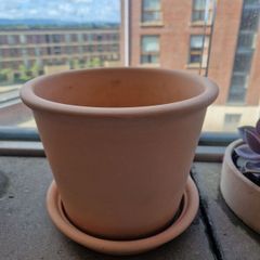 Terracotta Plant Pot
