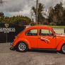 VW Vintage Beetle Image 7